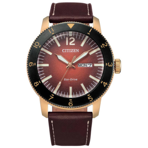Citizen Eco Drive AW0079-13X